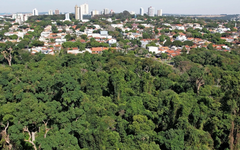 Cianorte conquista selo “Cidade Árvore do Mundo” pela segunda vez