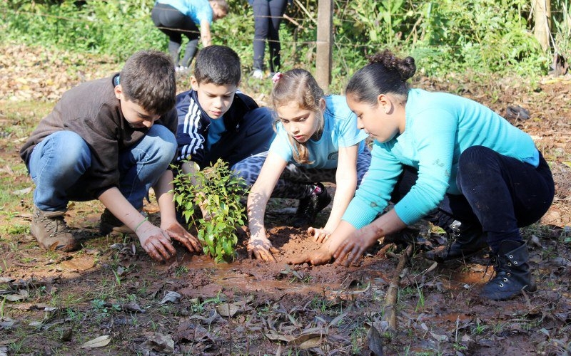 Crianças plantam árvores próximo ao poço artesiano de Vidigal