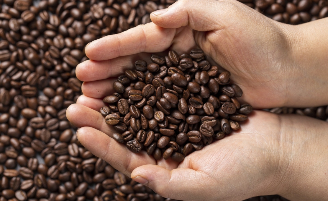 Cafeicultores cianortenses têm encontro marcado nesta sexta-feira