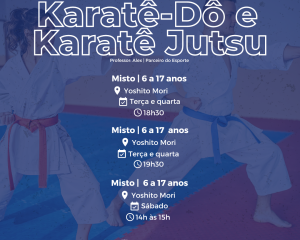 copiadekarate1.png