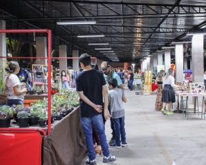 feira-cria-30.jpg