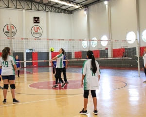 fest-volei-23.jpg