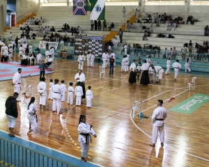 karate-1-2-editada.jpg