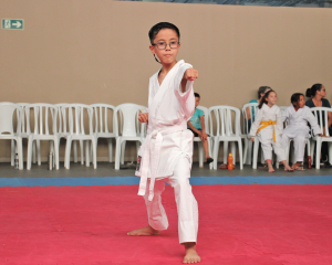karate-12.png
