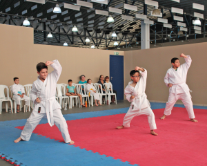 karate-13.png