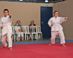 karate-15.png