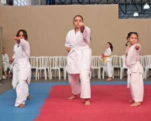 karate-16.png