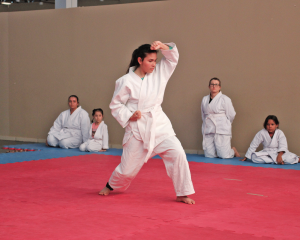 karate-18.png