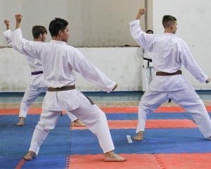 karate-19-ediatada.jpg