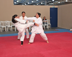 karate-19.png