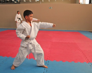 karate-23.png