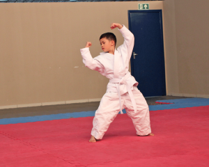 karate-24.png