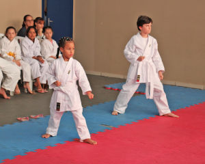 karate-7.png