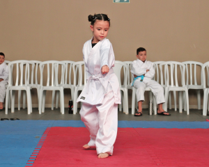 karate-9.png