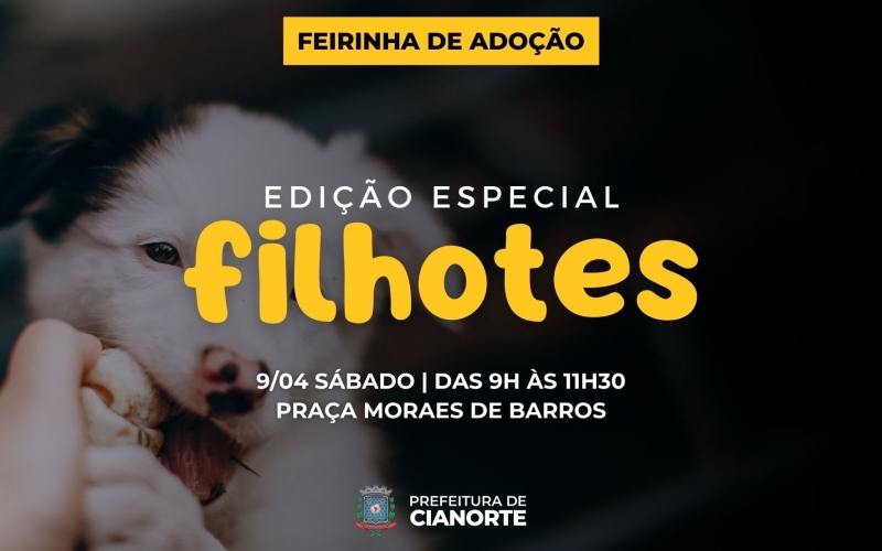 Sábado tem Feirinha de Adoção do Canil Municipal
