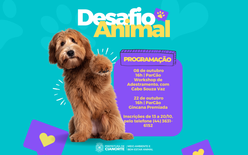 Workshop de Adestramento e Desafio Animal testam capacidade dos cachorros e seus tutores