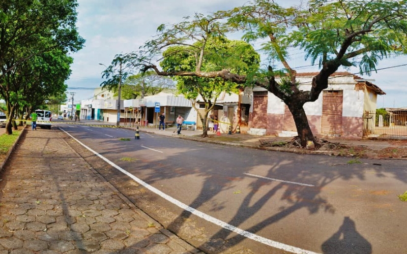 Árvore em queda na Avenida Pernambuco exige atenção. Área está isolada 