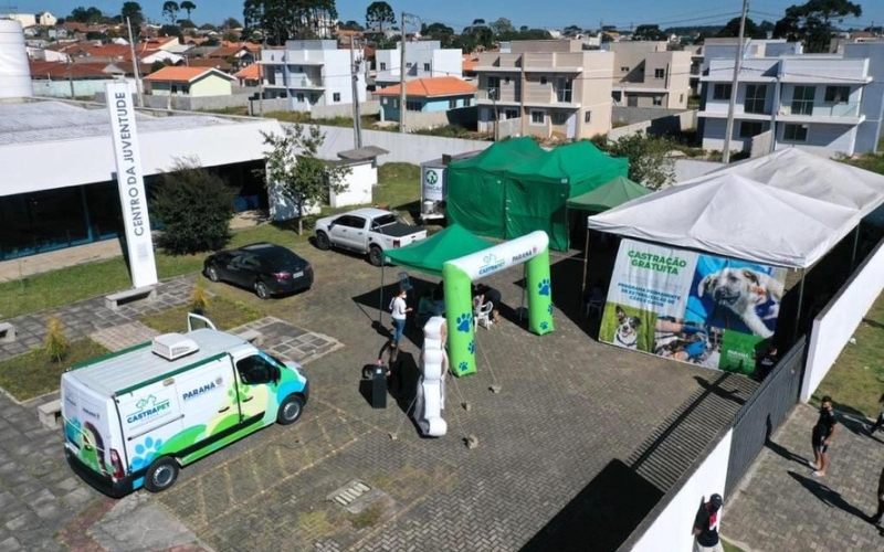 Castrapet da Sedest vai esterilizar cães e gatos gratuitamente em Cianorte