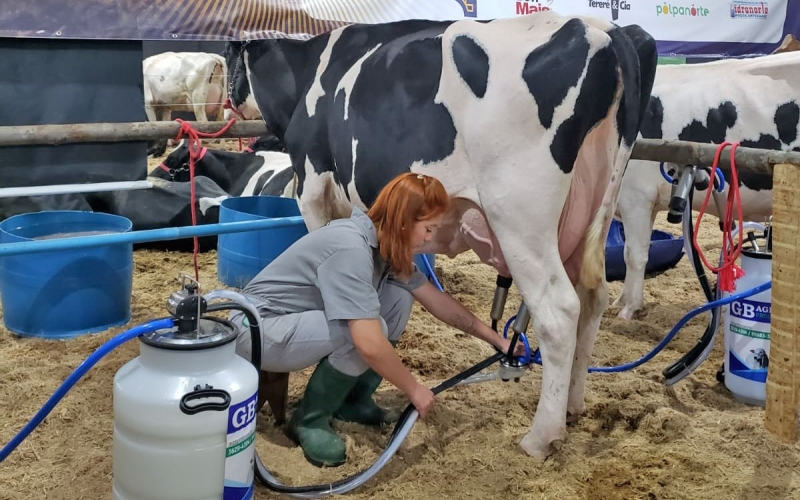 Vaca holandesa “Barbie 260” vence 2º Torneio Leiteiro da FEAPAM