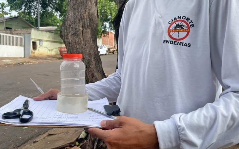 Secretaria Municipal de Saúde mapeia resistência do mosquito da dengue