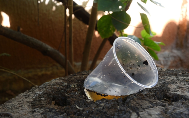 2º LIRAa aponta infestação de 1,9% em Cianorte