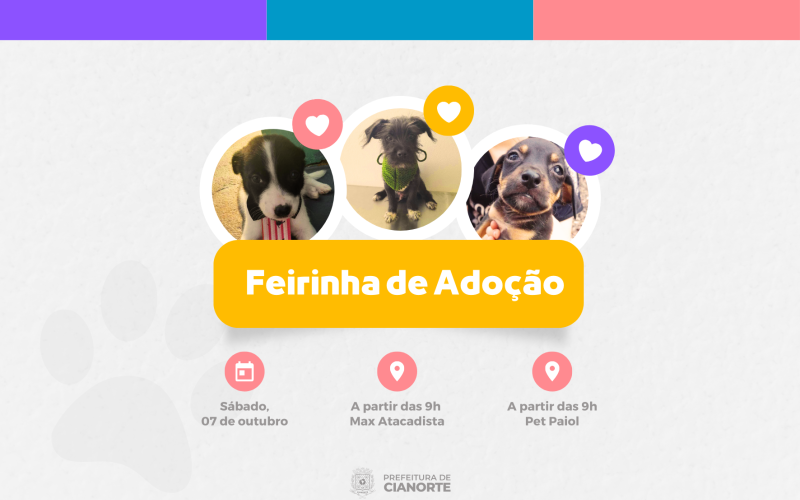 Sábado tem Feirinha de Adoção do Canil Municipal com duas edições