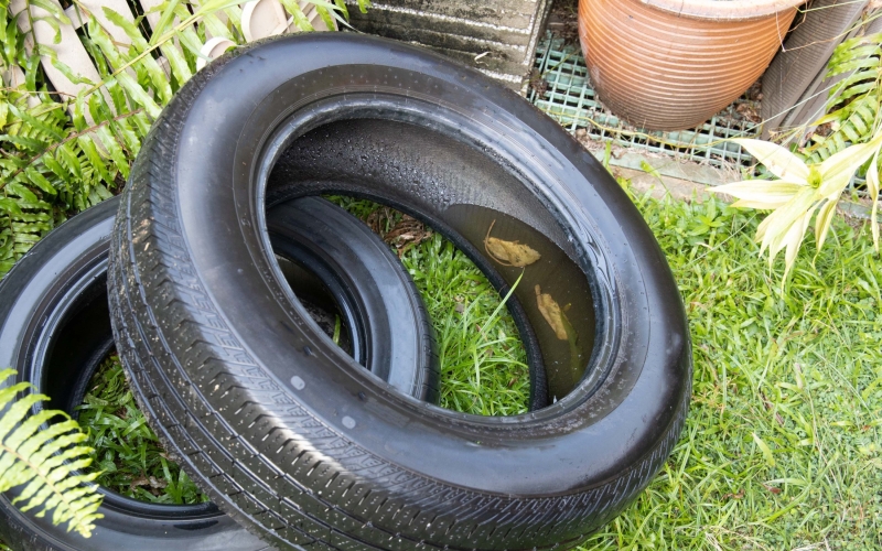 Índice de infestação do mosquito da dengue é de 1,4% em Cianorte