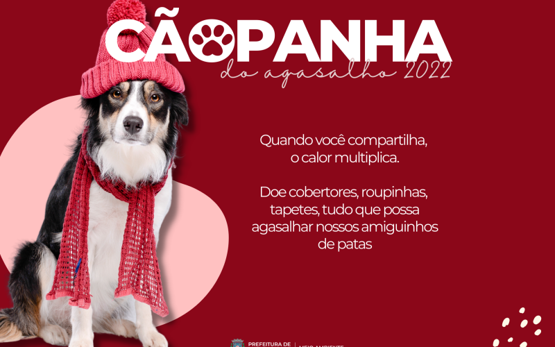 Secretaria Municipal de Meio Ambiente lança “Cãopanha do Agasalho 2022” 
