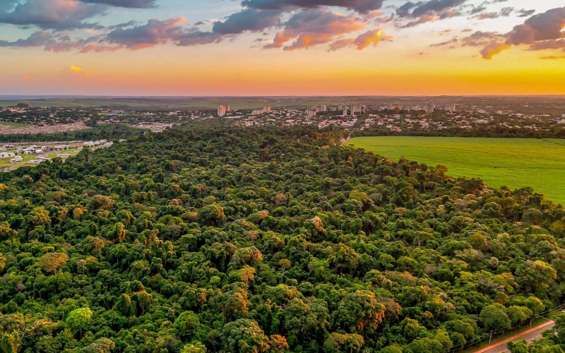 Cianorte conquista selo internacional 