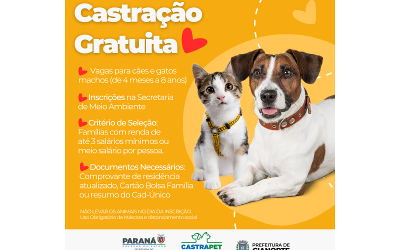 Últimas vagas para castração gratuita de cães e gatos machos