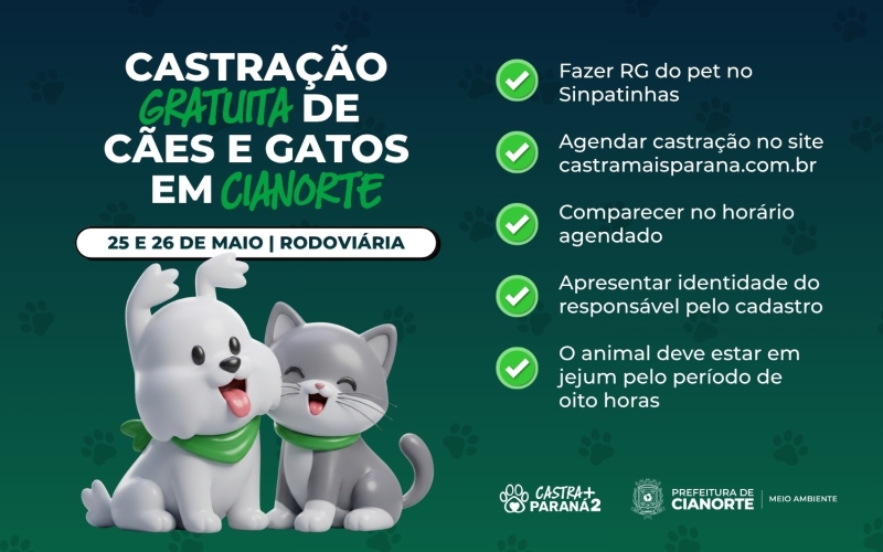 Abertas as inscrições para mutirão de castração gratuita de cães e gatos em Cianorte 