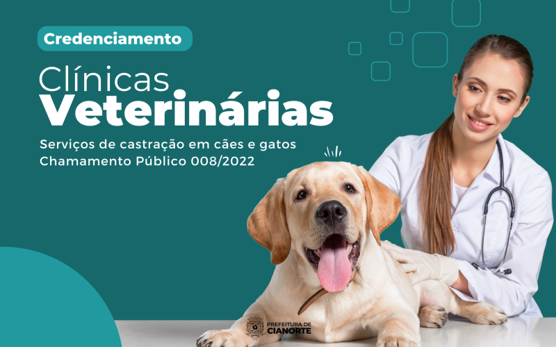 Prefeitura credencia clínicas veterinárias para a castração de cães e gatos