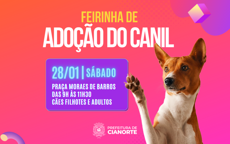 Feirinha de Adoção do Canil Municipal acontece neste sábado