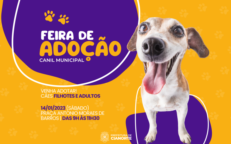 Sábado tem Feirinha de Adoção do Canil Municipal