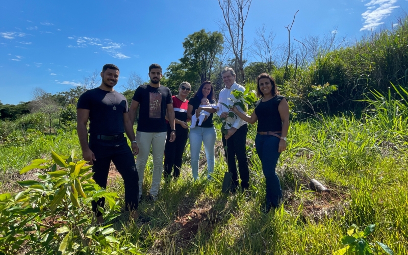 Cianorte planta uma árvore para cada bebê nascido em 2022