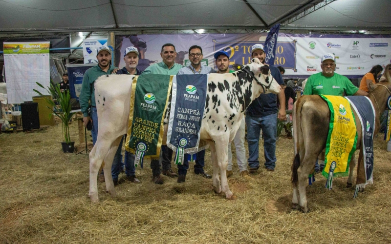 Julgamento de conformação leiteira elege melhores animais jovens e adultos