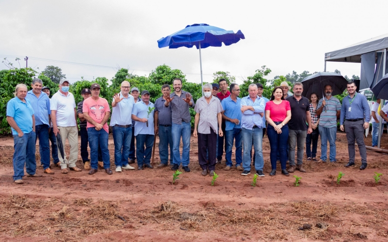 Tem início o plantio de mudas do projeto municipal de incentivo à cafeicultura  
