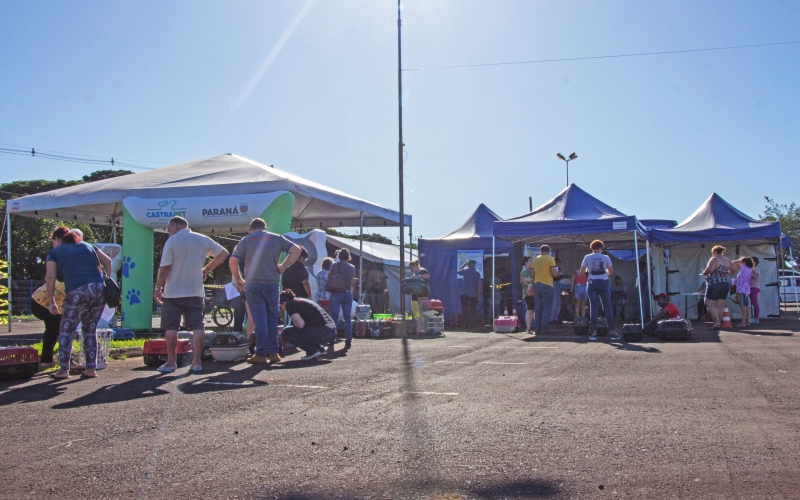 456 cães e gatos são castrados no 4º CastraPet 