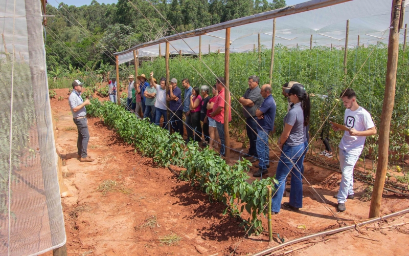 Rally das Estufas leva assistência técnica a produtores rurais
