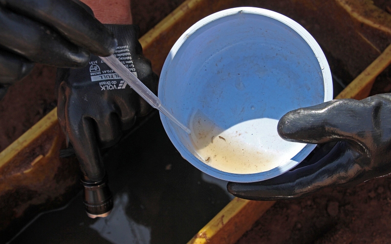 Cresce índice de infestação do mosquito da dengue em Cianorte