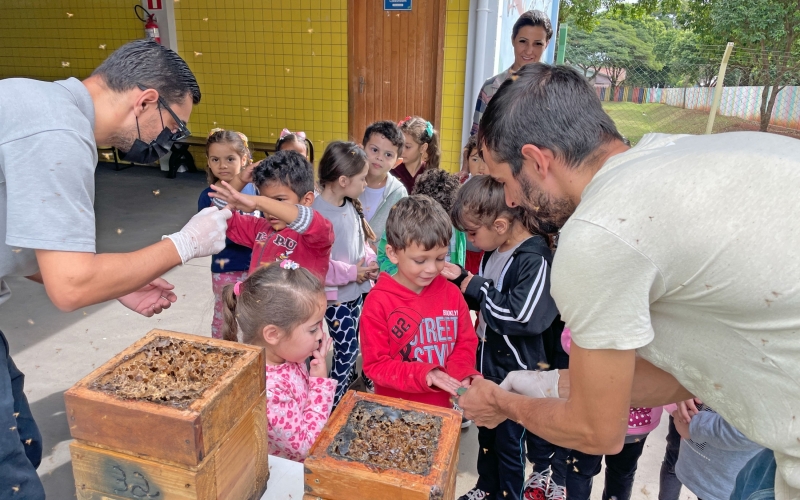 Escolas municipais recebem colônias de abelhas sem ferrão