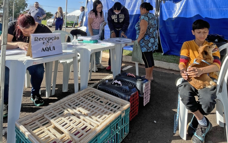 Cianorte recebe programa de castração gratuita para cães e gatos