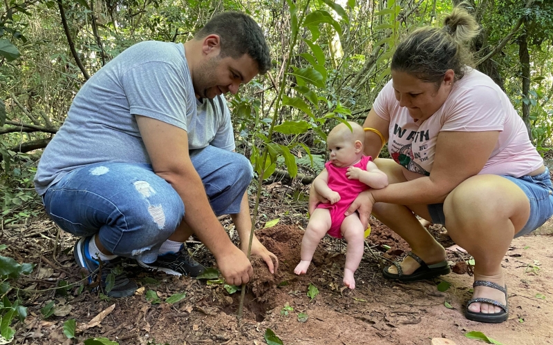 Cianorte planta uma árvore para cada nascido em 2023