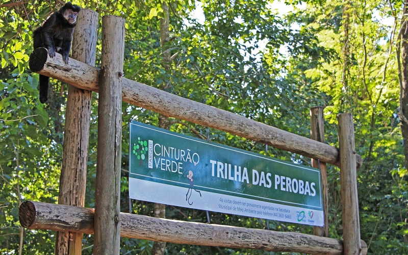 Prefeitura lança programação do 23º aniversário do Parque Cinturão Verde