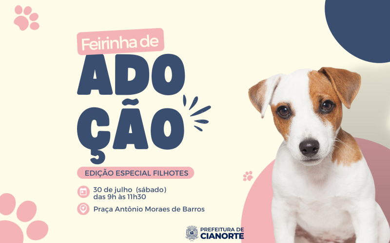 Sábado tem feirinha de adoção de filhotes do Canil Municipal
