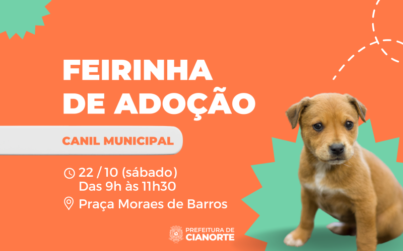Sábado tem Feirinha de Adoção do Canil Municipal com filhotes