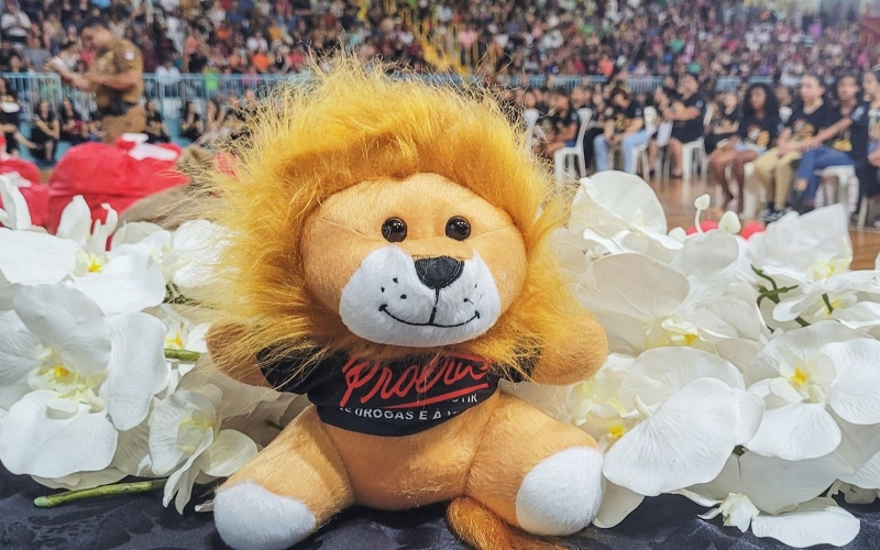 Edição 2023 do Proerd forma 815 estudantes da Rede Municipal